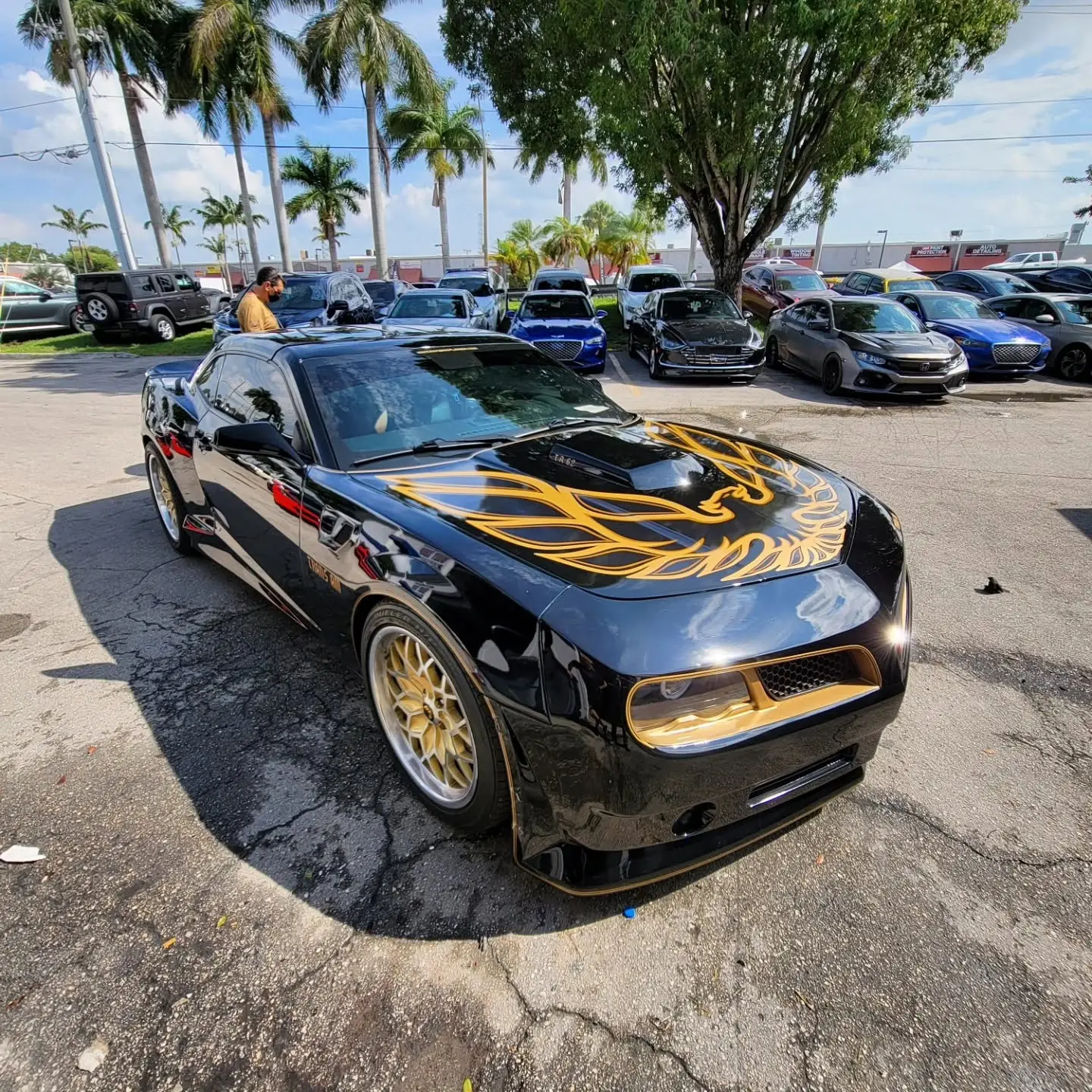Black Trans Am with gold firebird hood graphics and custom paint by Marlin Motors in Cutler Bay, FL